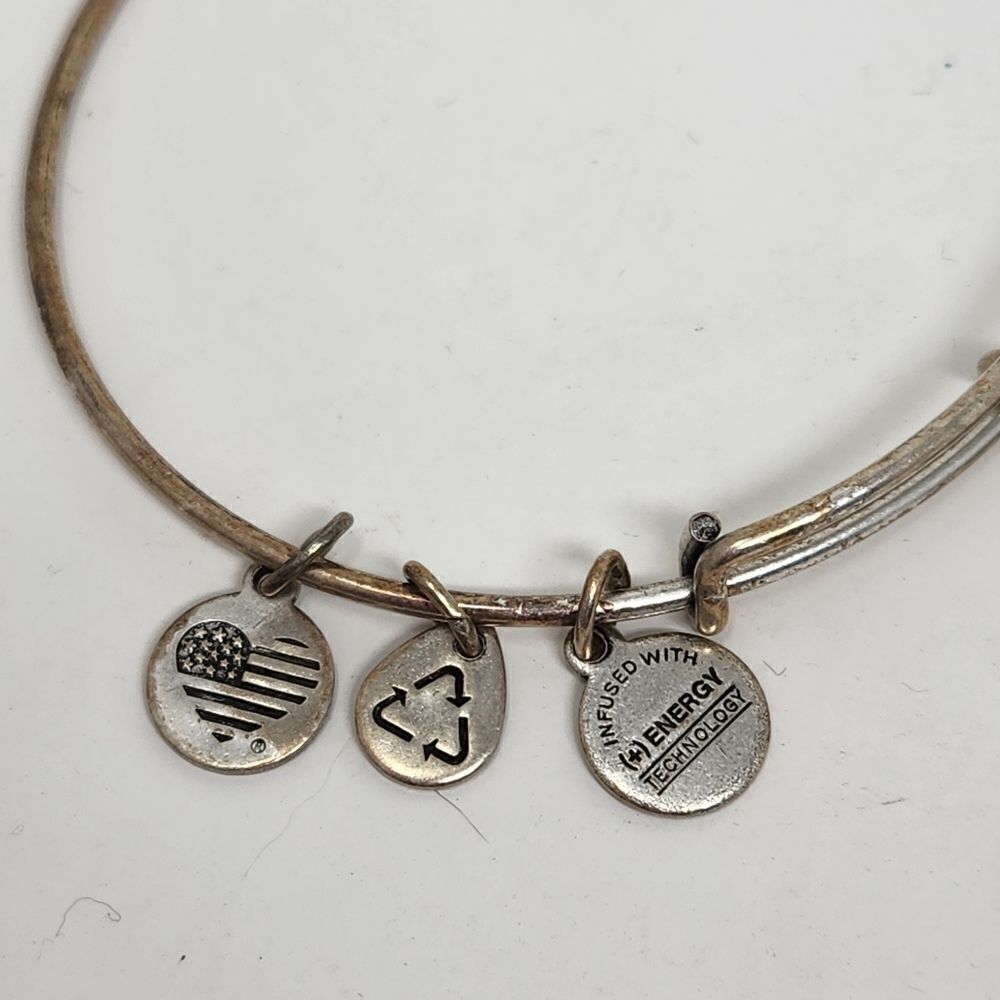 ALEX and ANI Las Vegas Bangle Bracelet Silver Tone - Picture 2 of 6